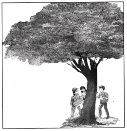 Growing up with Nature Class 4 Worksheet with Answers EVS Chapter 4 2