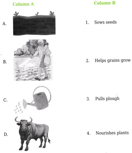 Happy and Healthy Living Class 4 Worksheet with Answers EVS Chapter 6 1
