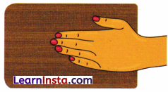 Heat Transfer in Nature Class 7 Worksheet with Answers Science Chapter 7 5