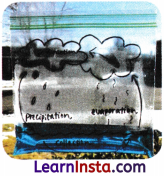 Heat Transfer in Nature Class 7 Worksheet with Answers Science Chapter 7 9