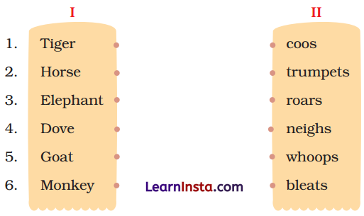 Hekko Class 4 Question Answer English Santoor Chapter 9 2