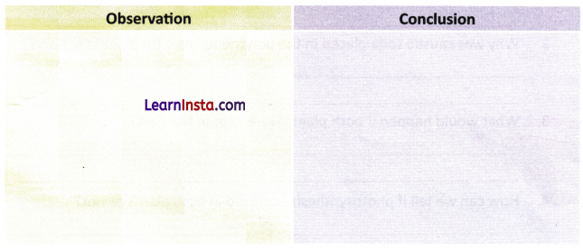 Life Processes in Plants Class 7 Worksheet with Answers Science Chapter 10 6