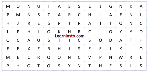 Life Processes in Plants Class 7 Worksheet with Answers Science Chapter 10 8