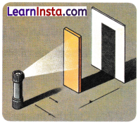 Light Shadows and Reflections Class 7 Worksheet with Answers Science Chapter 11 6