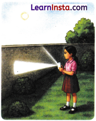 Light Shadows and Reflections Class 7 Worksheet with Answers Science Chapter 11 8