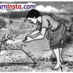 Methods of Separation in Everyday Life Class 6 Worksheet with Answers Science Chapter 9 1