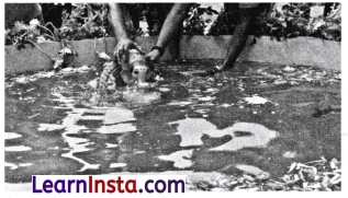 Methods of Separation in Everyday Life Class 6 Worksheet with Answers Science Chapter 9 2