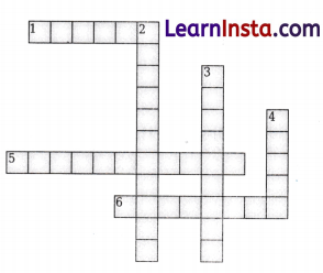 Methods of Separation in Everyday Life Class 6 Worksheet with Answers Science Chapter 9 9