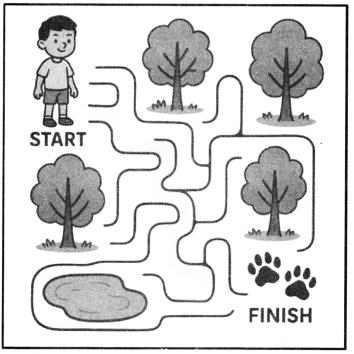 Nature Trail Class 4 Worksheet with Answers EVS Chapter 3 4