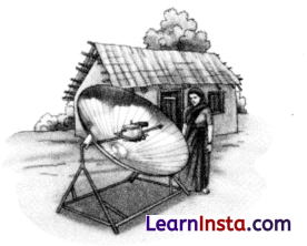 Nature’s Treasures Class 6 Worksheet with Answers Science Chapter 11 2