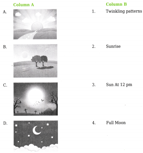 Our Sky Class 4 Worksheet with Answers EVS Chapter 10 1