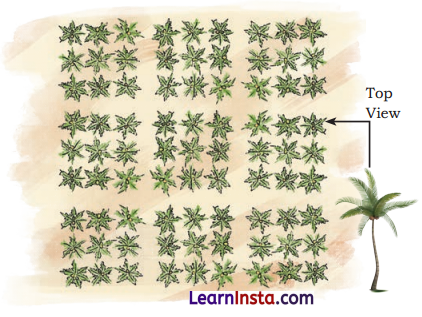 Pattern Around Us Class 4 Solutions Question Answer Maths Chapter 3 1