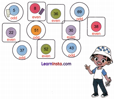 Pattern Around Us Class 4 Solutions Question Answer Maths Chapter 3 15