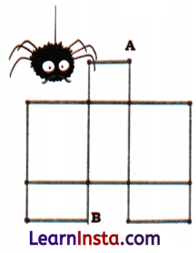Shapes Around Us Class 4 Solutions Question Answer Maths Chapter 1 45