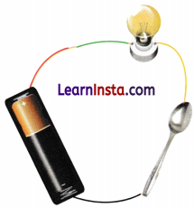 The Ever Evolving World of Science Class 7 Worksheet with Answers Science Chapter 1 4