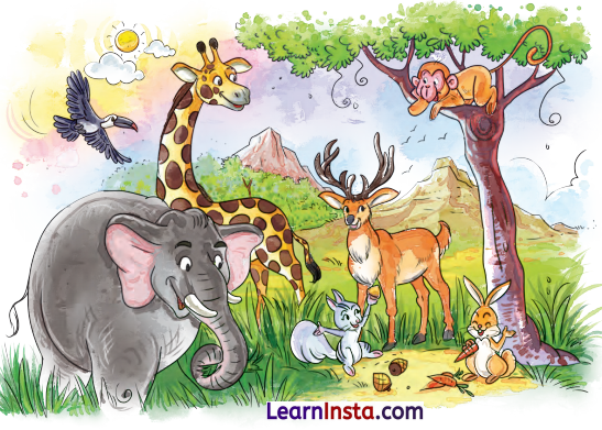 The Old Stag Class 4 Summary in English 5