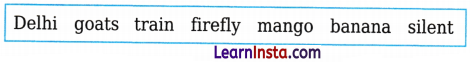 The Tunnel MCQ Class 7 English Chapter 10 1