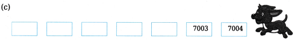 Thousands Around Us Class 4 Worksheet with Answers Maths Chapter 4 17