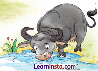 कविता का कमाल Class 4 Summary in Hindi Chapter 11 2