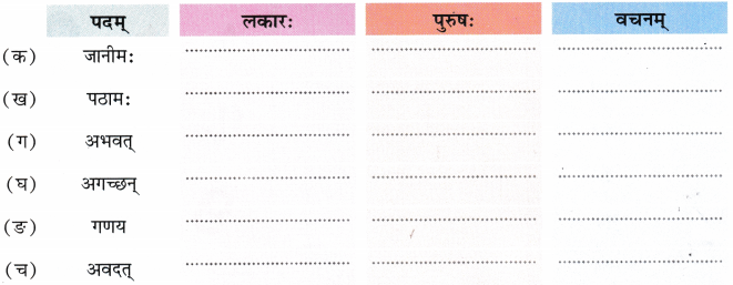 दशमः कः Class 7 Worksheet with Answers Sanskrit Chapter 10 4