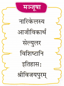 द्वीपेषु रम्यः द्वीपोऽण्डमानः Class 7 Worksheet with Answers Sanskrit Chapter 11 1