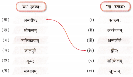द्वीपेषु रम्यः द्वीपोऽण्डमानः Class 7 Worksheet with Answers Sanskrit Chapter 11 2
