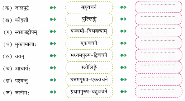 द्वीपेषु रम्यः द्वीपोऽण्डमानः Class 7 Worksheet with Answers Sanskrit Chapter 11 5