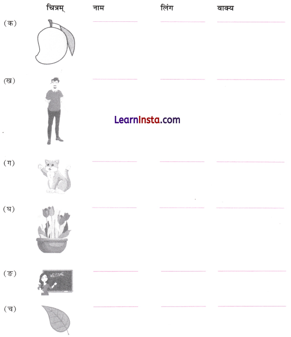 पृथिव्यां त्रीणि रत्नानि Class 6 Worksheet with Answers Sanskrit Chapter 11 1