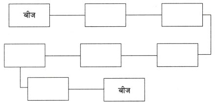 पेड़ की बात Class 6 Worksheet with Answers Hindi Chapter 13 1
