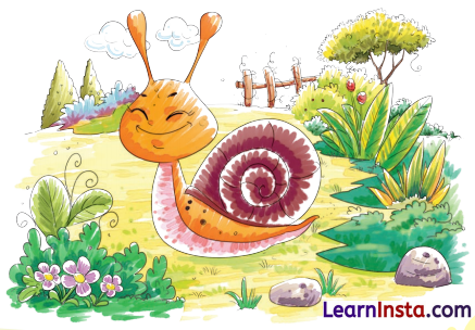 बगीचे का घोंघा Class 4 Summary in Hindi Chapter 2 1