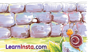 बगीचे का घोंघा Class 4 Summary in Hindi Chapter 2 2