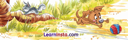 बगीचे का घोंघा Class 4 Summary in Hindi Chapter 2 3