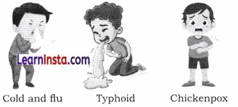 Health The Ultimate Treasure Class 8 Questions and Answers Science Chapter 3 2