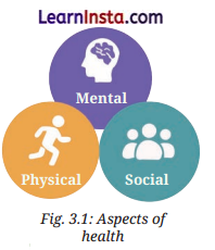Health The Ultimate Treasure Class 8 Questions and Answers Science Chapter 3 9