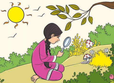 Magnifying Glass Class 8 Summary in English 1