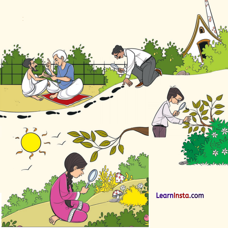 Magnifying Glass Question Answer Class 8 English Poorvi Chapter 14 1