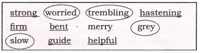 Somebody’s Mother Question Answer Class 8 English Poorvi Chapter 5 3