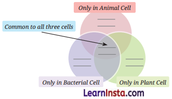 The Invisible Living World Beyond Our Naked Eye Class 8 Questions and Answers Science Chapter 2 11