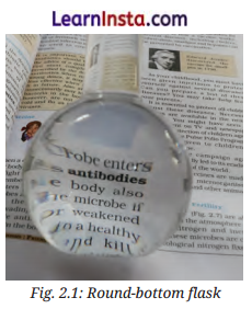 The Invisible Living World Beyond Our Naked Eye Class 8 Questions and Answers Science Chapter 2 4
