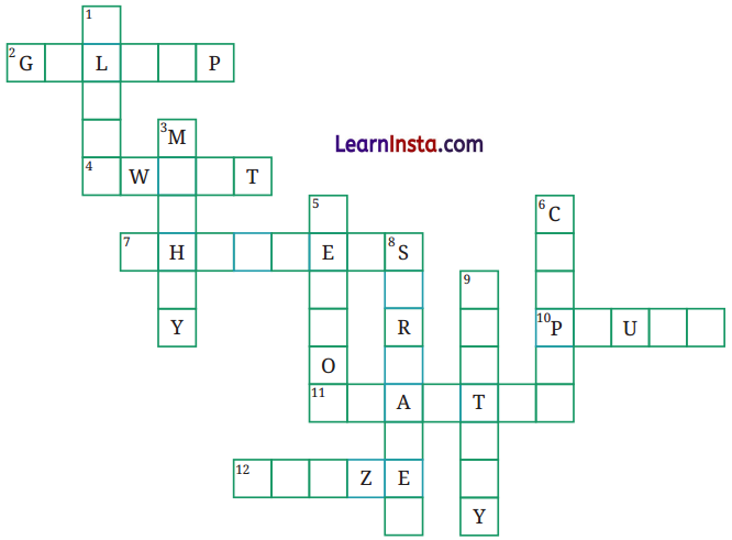 The Magic Brush of Dreams Question Answer Class 8 English Poorvi Chapter 8 3