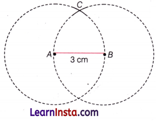 A Tale of Three Intersecting Lines Class 7 Extra Questions Maths Chapter 7 18