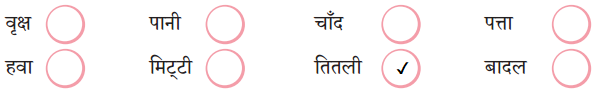 Class 5 Hindi Chapter 1 Question Answer किरन 3