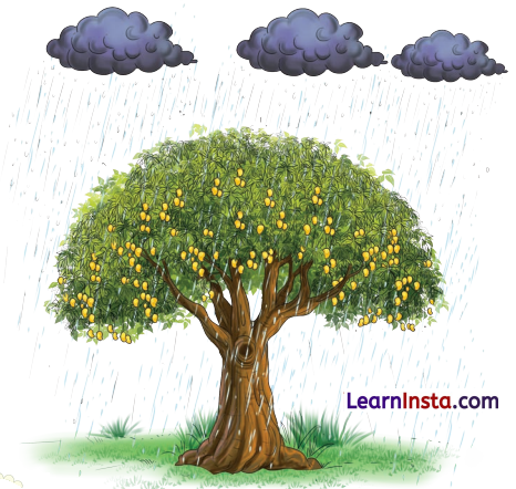 Class 8 Sanskrit Chapter 3 Hindi Translation सुभाषितरसं पीत्वा जीवनं सफलं कुरु Summary 2