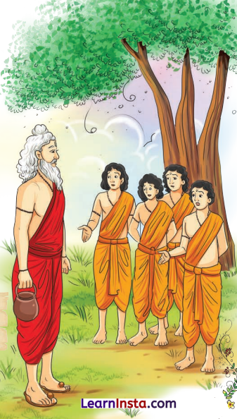 Class 8 Sanskrit Chapter 9 Hindi Translation कोऽरुक् कोऽरुक् कोऽरुक् Summary 3