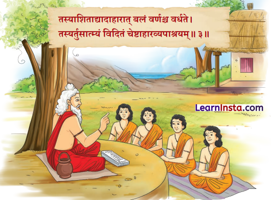 Class 8 Sanskrit Chapter 9 Hindi Translation कोऽरुक् कोऽरुक् कोऽरुक् Summary 4