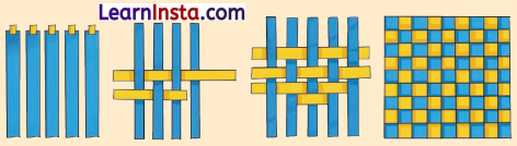 Clothes How Things are Made Class 5 Question Answer EVS Chapter 8 2