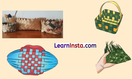 Clothes How Things are Made Class 5 Question Answer EVS Chapter 8 3