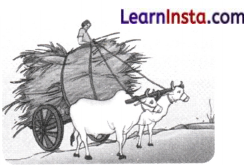 Exploring Forces Class 8 Extra Questions and Answers Science Chapter 5 5