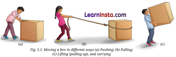 Exploring Forces Class 8 Questions and Answers Science Chapter 5 1