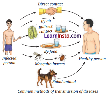 Health The Ultimate Treasure Class 8 Notes Science Chapter 3 1